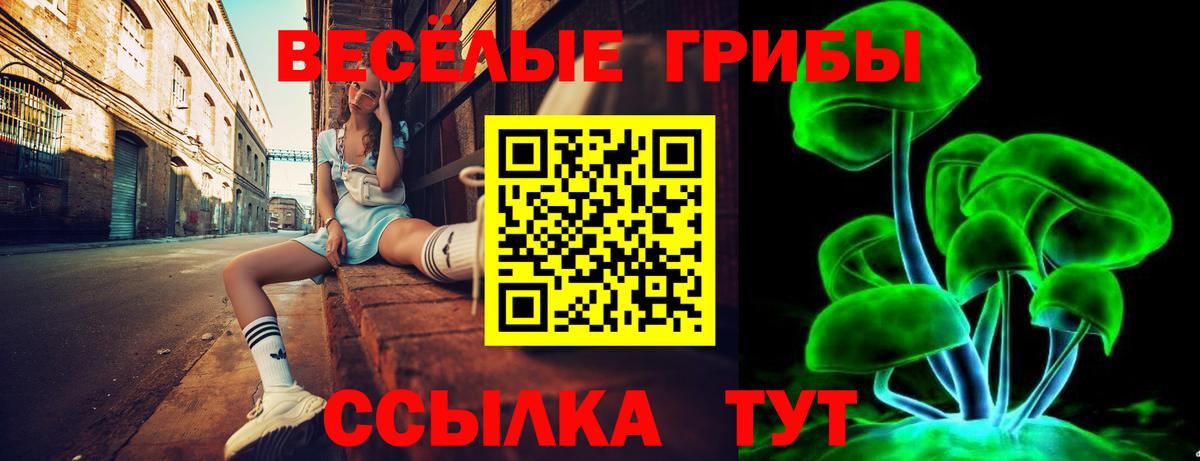 как найти закладки  Галлюциногенные грибы GOLDEN TEACHER  Вход с VPN  Барабинск 